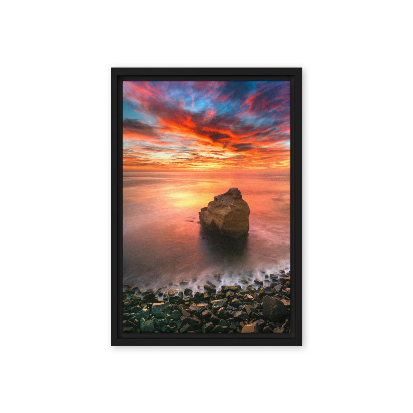 Bird Shit Rock Framed Canvas